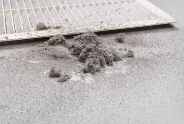 Best Air Duct Cleaning Company Near Me  in Waterbury, CT